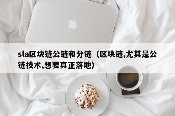 sla区块链公链和分链（区块链,尤其是公链技术,想要真正落地）