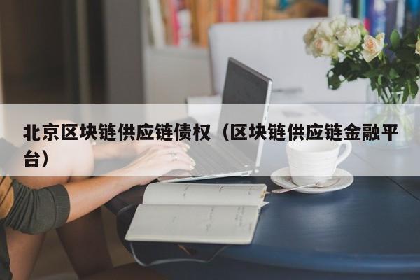 北京区块链供应链债权（区块链供应链金融平台）