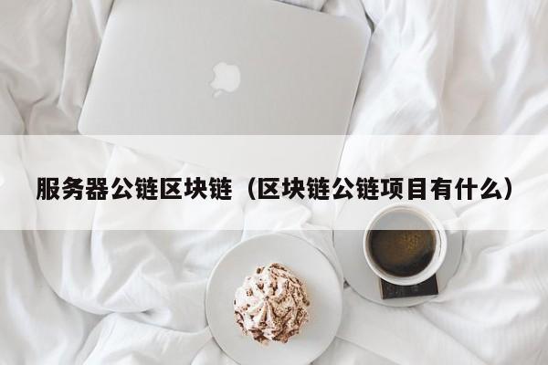 服务器公链区块链（区块链公链项目有什么）