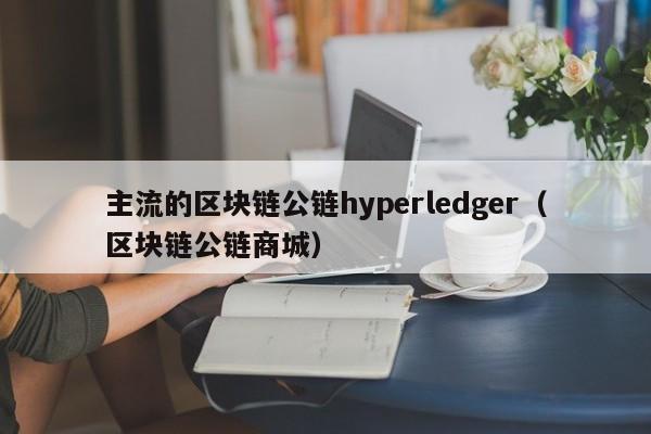 主流的区块链公链hyperledger（区块链公链商城）