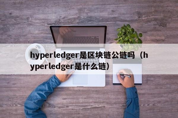 hyperledger是区块链公链吗（hyperledger是什么链）