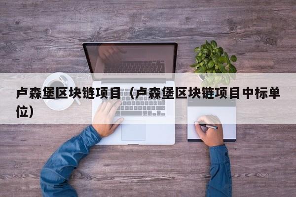 卢森堡区块链项目（卢森堡区块链项目中标单位）