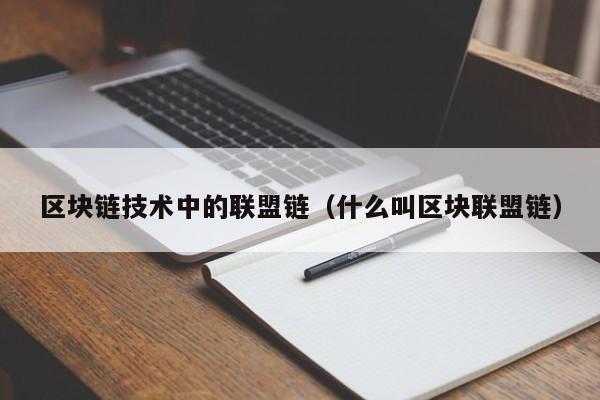 区块链技术中的联盟链（什么叫区块联盟链）