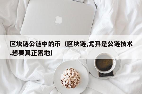 区块链公链中的币（区块链,尤其是公链技术,想要真正落地）