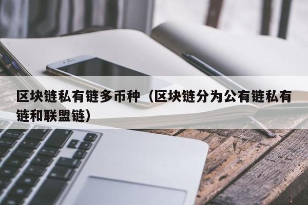 区块链私有链多币种（区块链分为公有链私有链和联盟链）