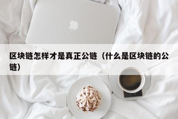 区块链怎样才是真正公链（什么是区块链的公链）