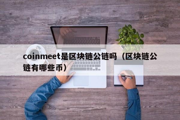 coinmeet是区块链公链吗（区块链公链有哪些币）