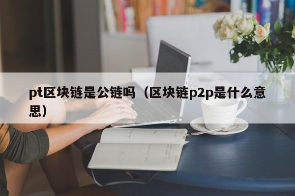 pt区块链是公链吗（区块链p2p是什么意思）