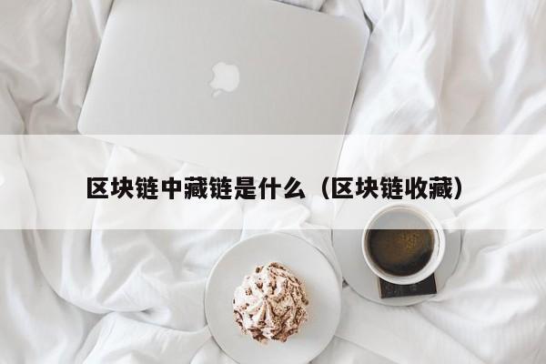 区块链中藏链是什么（区块链收藏）
