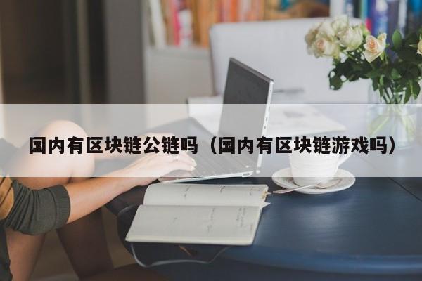 国内有区块链公链吗（国内有区块链游戏吗）