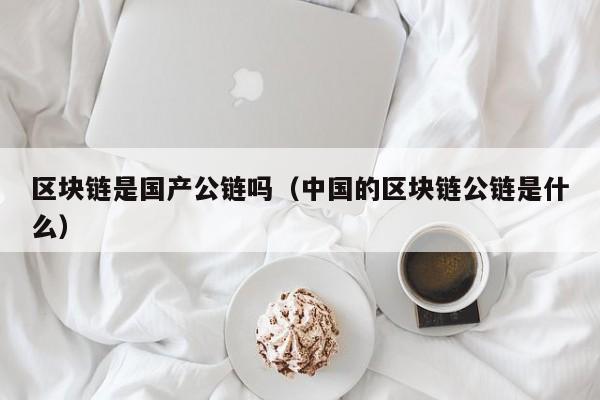 区块链是国产公链吗（中国的区块链公链是什么）