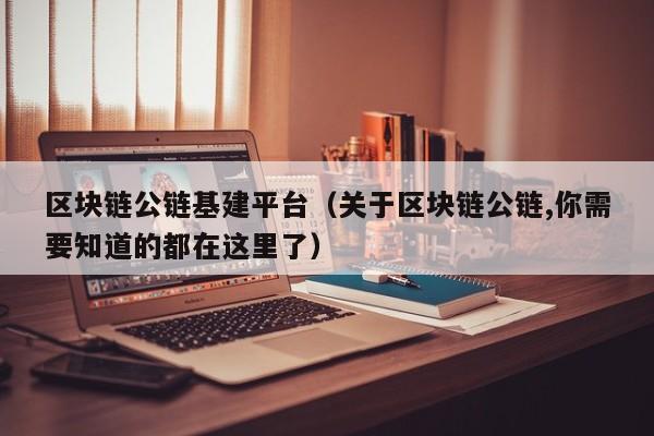 区块链公链基建平台（关于区块链公链,你需要知道的都在这里了）