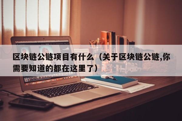 区块链公链项目有什么（关于区块链公链,你需要知道的都在这里了）