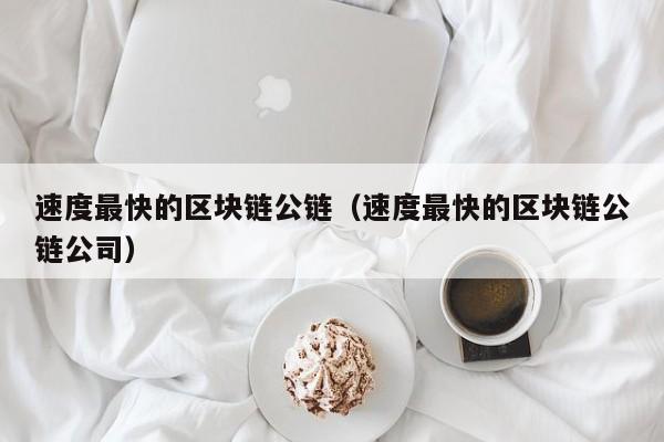 速度最快的区块链公链（速度最快的区块链公链公司）