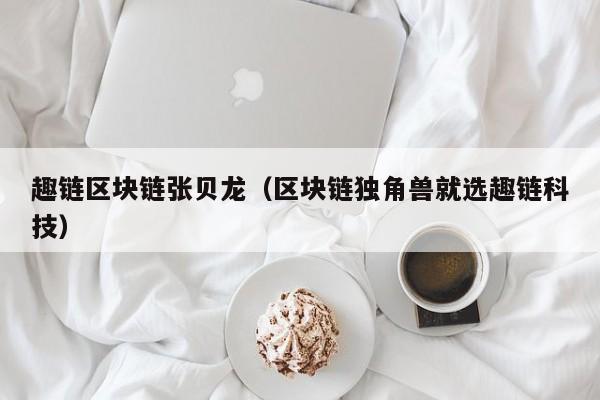 趣链区块链张贝龙（区块链独角兽就选趣链科技）