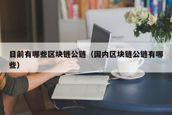 目前有哪些区块链公链（国内区块链公链有哪些）