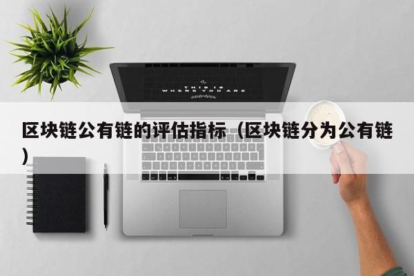 区块链公有链的评估指标（区块链分为公有链）