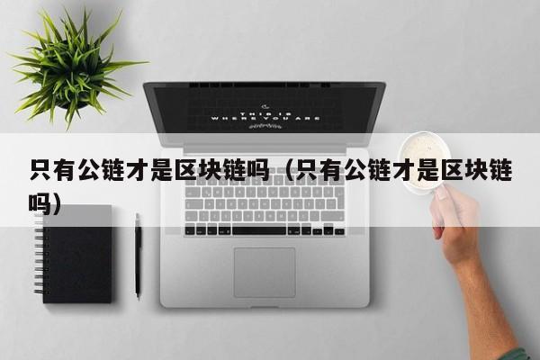 只有公链才是区块链吗（只有公链才是区块链吗）