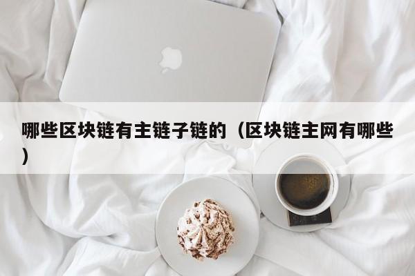 哪些区块链有主链子链的（区块链主网有哪些）