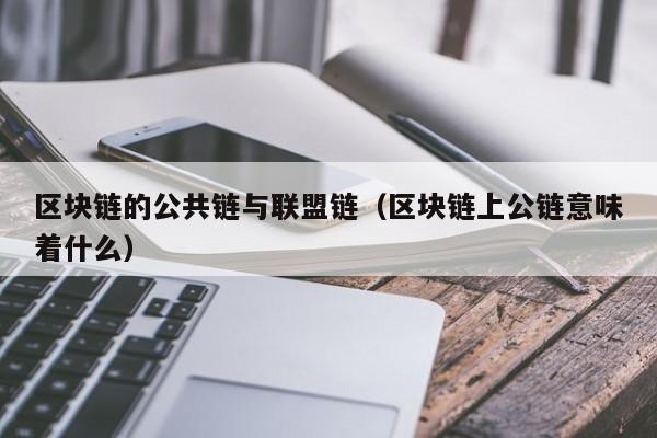 区块链的公共链与联盟链（区块链上公链意味着什么）