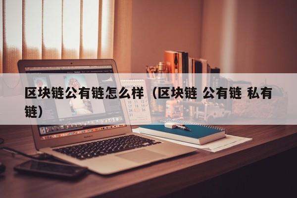 区块链公有链怎么样（区块链 公有链 私有链）