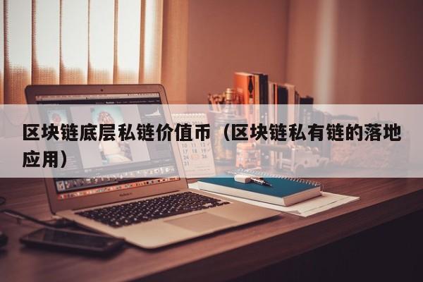 区块链底层私链价值币（区块链私有链的落地应用）