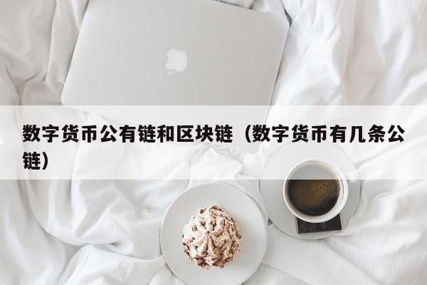 数字货币公有链和区块链（数字货币有几条公链）
