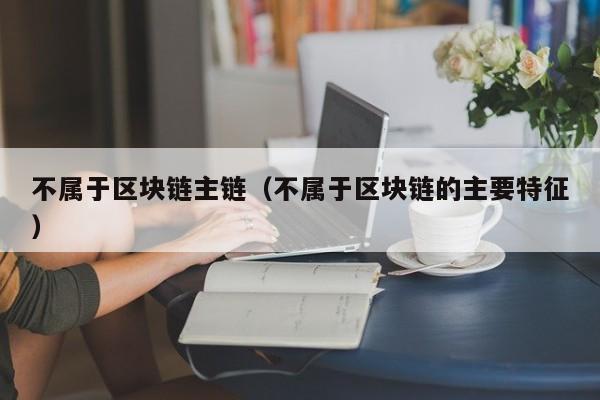 不属于区块链主链（不属于区块链的主要特征）