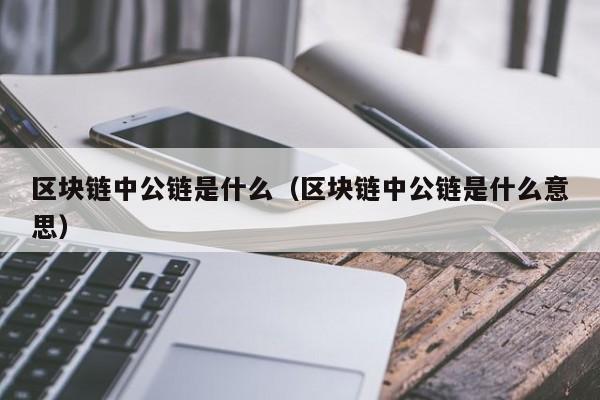 区块链中公链是什么（区块链中公链是什么意思）