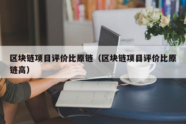 区块链项目评价比原链（区块链项目评价比原链高）
