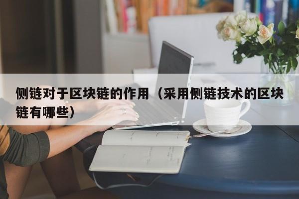 侧链对于区块链的作用（采用侧链技术的区块链有哪些）