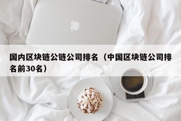 国内区块链公链公司排名（中国区块链公司排名前30名）
