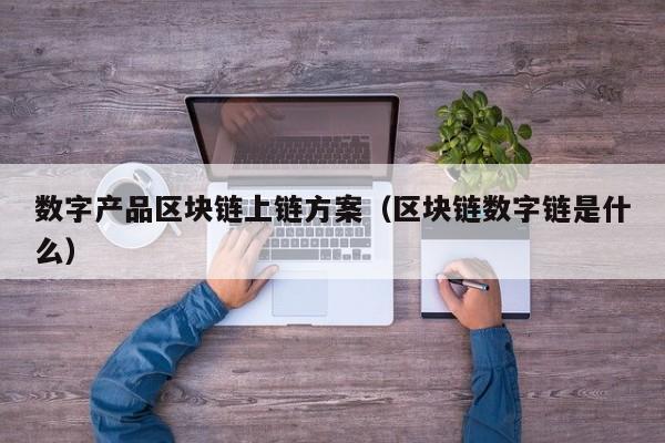 数字产品区块链上链方案（区块链数字链是什么）