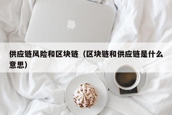 供应链风险和区块链（区块链和供应链是什么意思）
