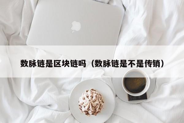 数脉链是区块链吗（数脉链是不是传销）